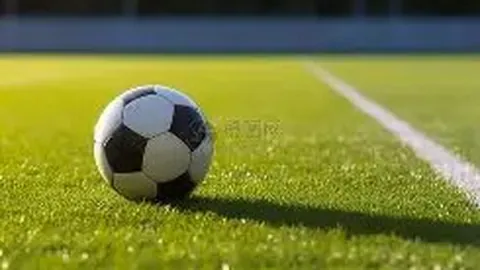 李雪琴就中消协点名事件表态：拒绝参与直播业务，担当社会责任